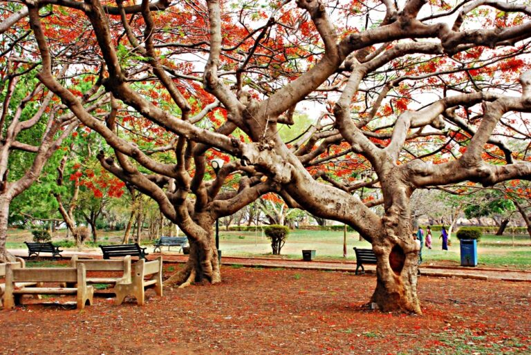 Application of meditation in the field of Action 1 nature 48 field of action
