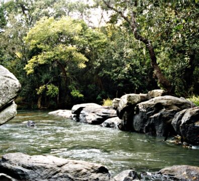 nature 10