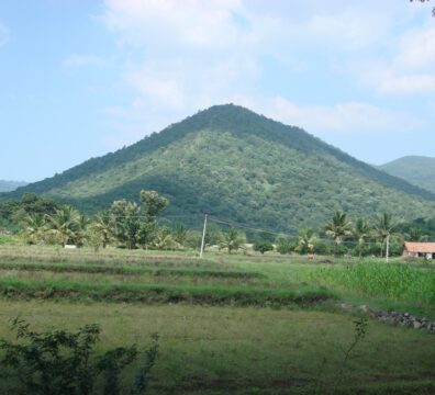 nature 19