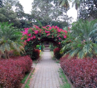 nature 75